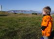 We are sustainability consultants in Hawkes Bay for the benefit of our moko