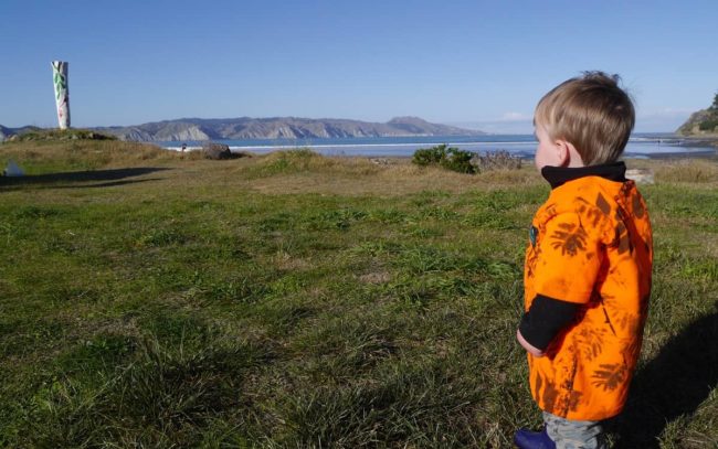 Thinking about Sustainability in Hawkes Bay cropped comp We are sustainability consultants in Hawkes Bay for the benefit of our moko