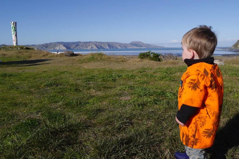 We are sustainability consultants in Hawkes Bay for the benefit of our moko