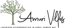 amuri-villas-transparent