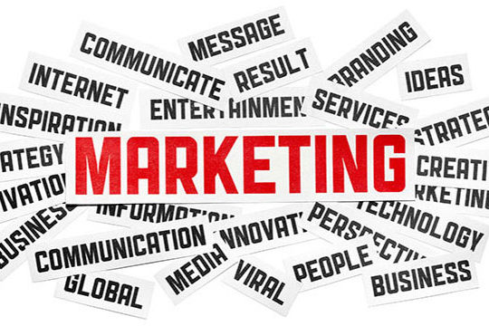 Marketing management specialist comparison Hawkes Bay